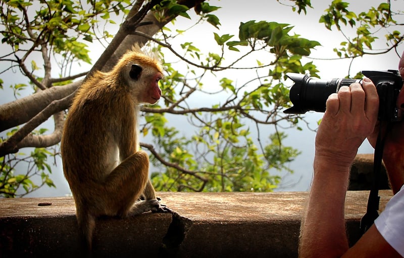 Paparazzi taking photos